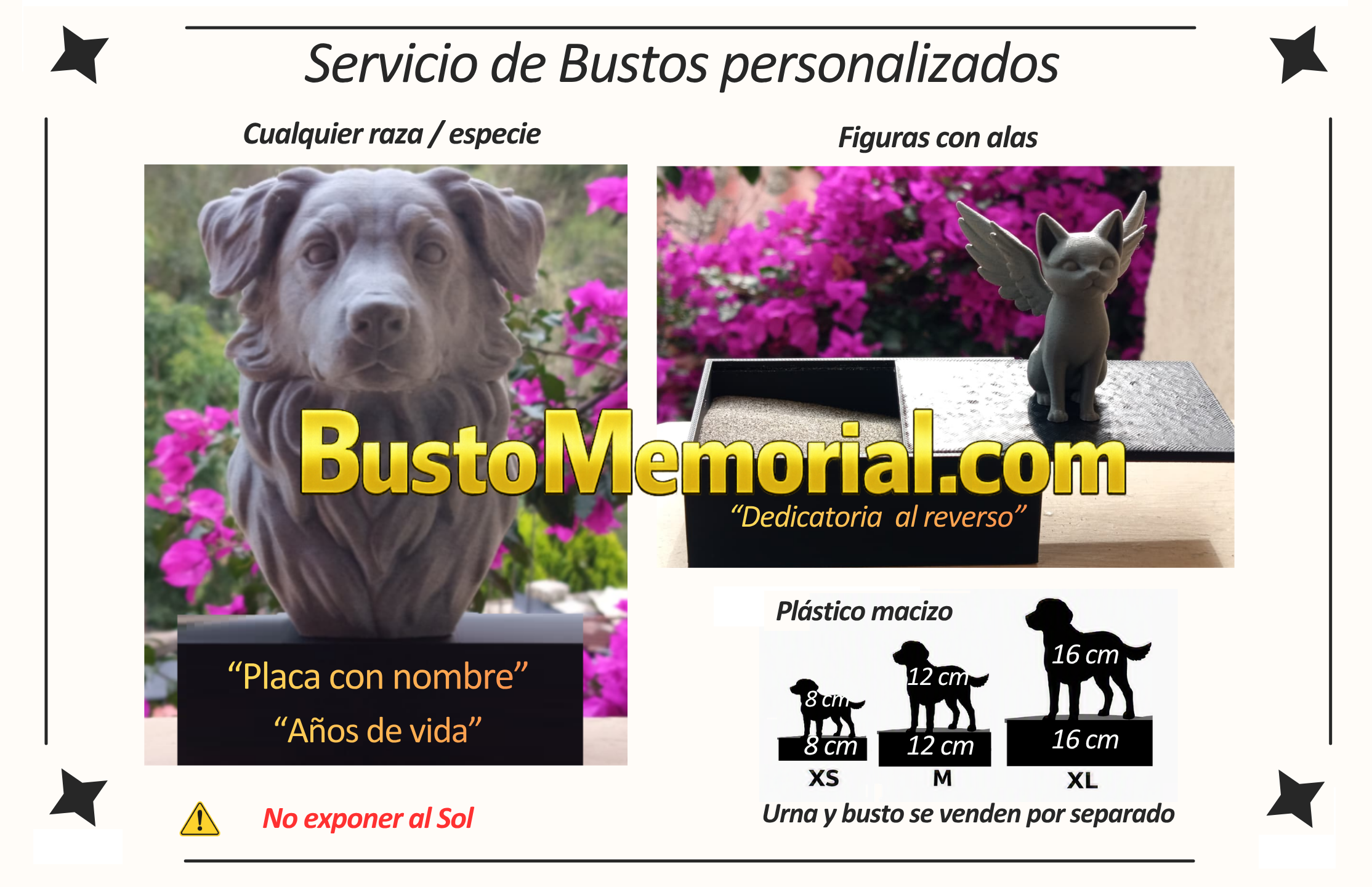 Imagen expandible